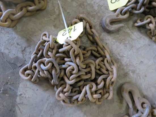 9ft Chain w/2 Hooks