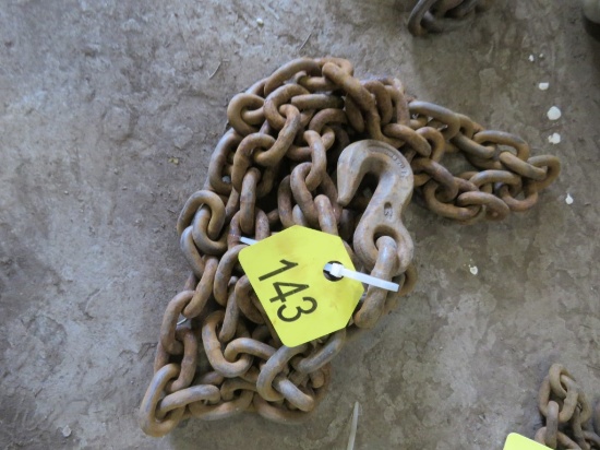 9ft Chain w/2 Hooks