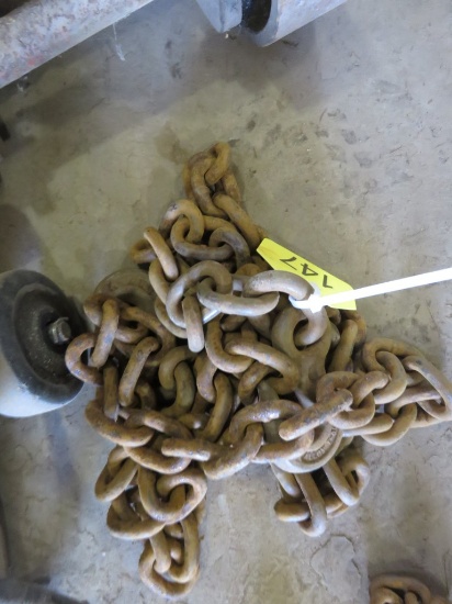 9ft Chain w/2 Hooks