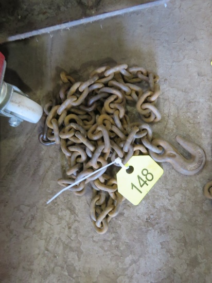 9ft Chain w/2 Hooks