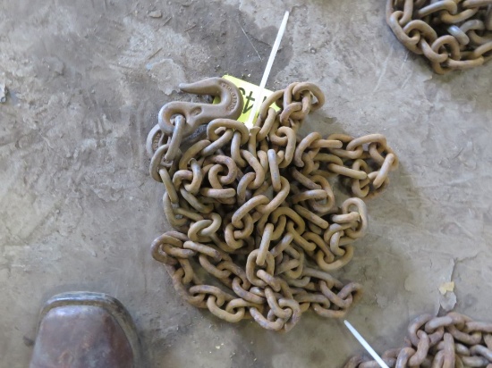 9ft Chain w/2 Hooks