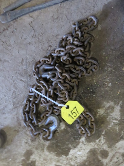 12ft Log Chain w/2 Hooks
