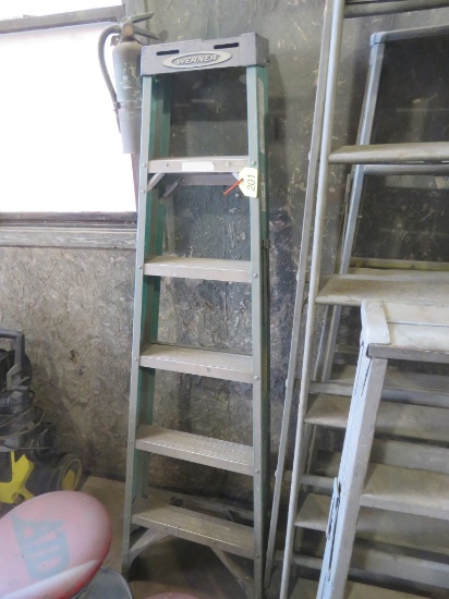 Werner 6ft Ladder