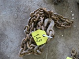 9ft Chain w/2 Hooks