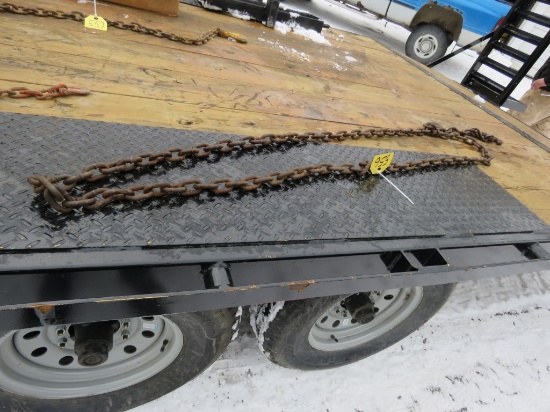 12ft Log Chain