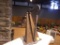 Painted Harp