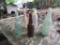 5 Glass Bottles