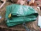 Tarp