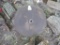 30inch Round Saw Blade