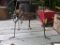 Cooker Stand