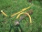 3pth Post Hole Digger