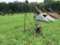 Sickle Bar Mower