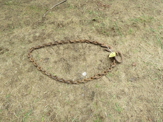 8ft Log Chain