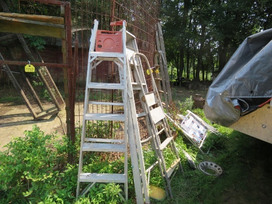 Alum Step Ladder