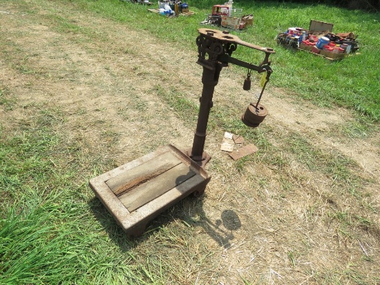 Fancy Platform Scales