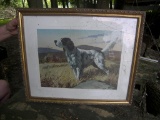 Bird Dog Picture