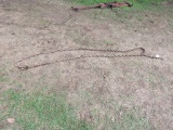 18ft Log Chain