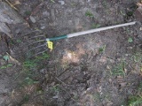 Hay Fork