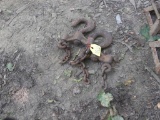 Pair of Large Hooks w/Chains