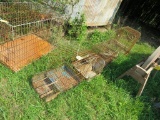 6 Bird Cages
