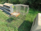 3 Cages