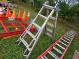 Werner Alum Fold Ladder