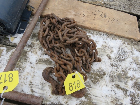 14ft Log Chain