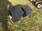 10 MF Suitcase Weights