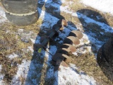 2 Augers 10 inch