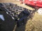 QT Kuhn 510 Hay Mover
