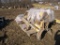 1990 Cat 3406 B Engine for Parts
