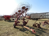 Sitre 10 Wheel Rake