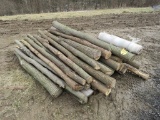 Pile of Locust Fence Posts