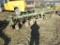 JD 3pth 6x Cultivator w/Rolling Baskets