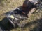 Craftsman Dual Range 230 Amp Stick Welder
