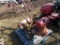 Troy-Bilt 24in Rear Tine Tiller