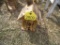 Wood Bird House