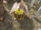Wood Bird House