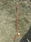 Walking Stick