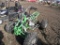 4-wheeler