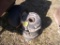 Lawn Mower Wheel Weights