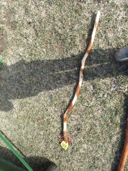 Walking Stick