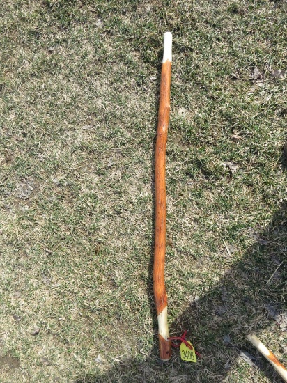 Walking Stick