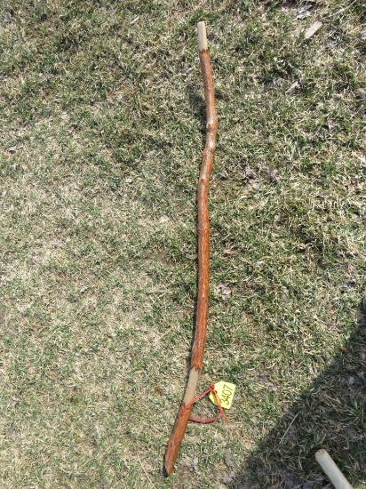 Walking Stick