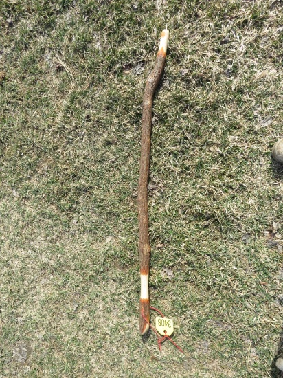 Walking Stick