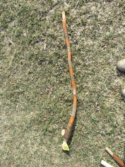 Walking Stick