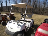 Golf Electric Cart