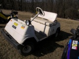 Jeg's Yamaha Electric Golf Cart