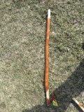Walking Stick