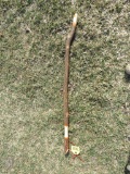 Walking Stick